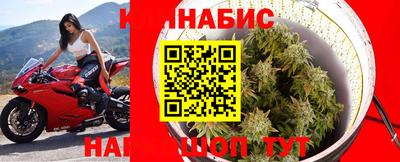 сатива Балаково