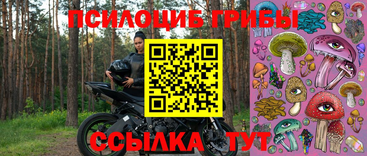 Галлюциногенные грибы GOLDEN TEACHER  Вход с VPN  Гуково  Галлюциногенные грибы GOLDEN TEACHER 